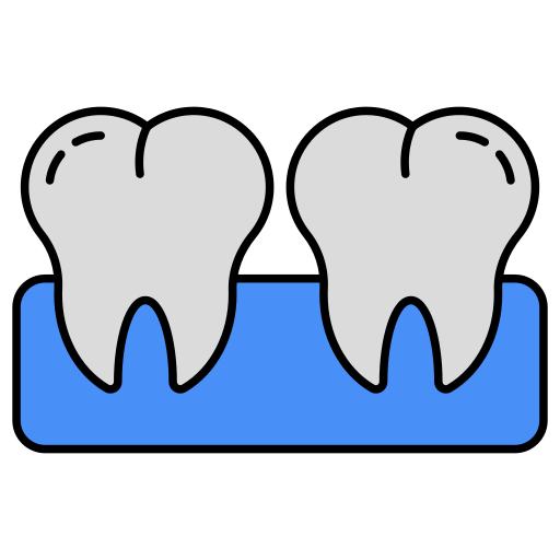 teeth